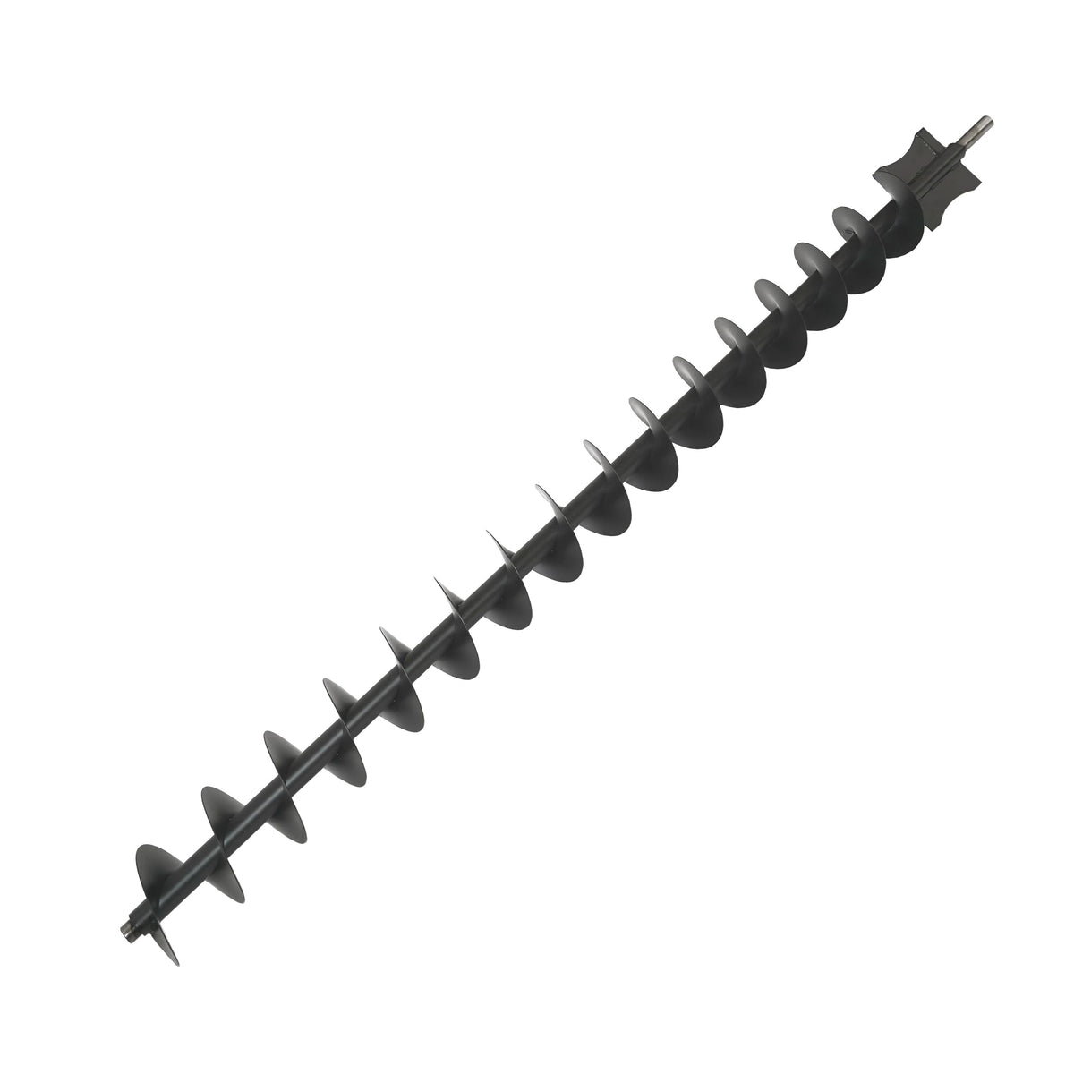 Sraigė - 755440