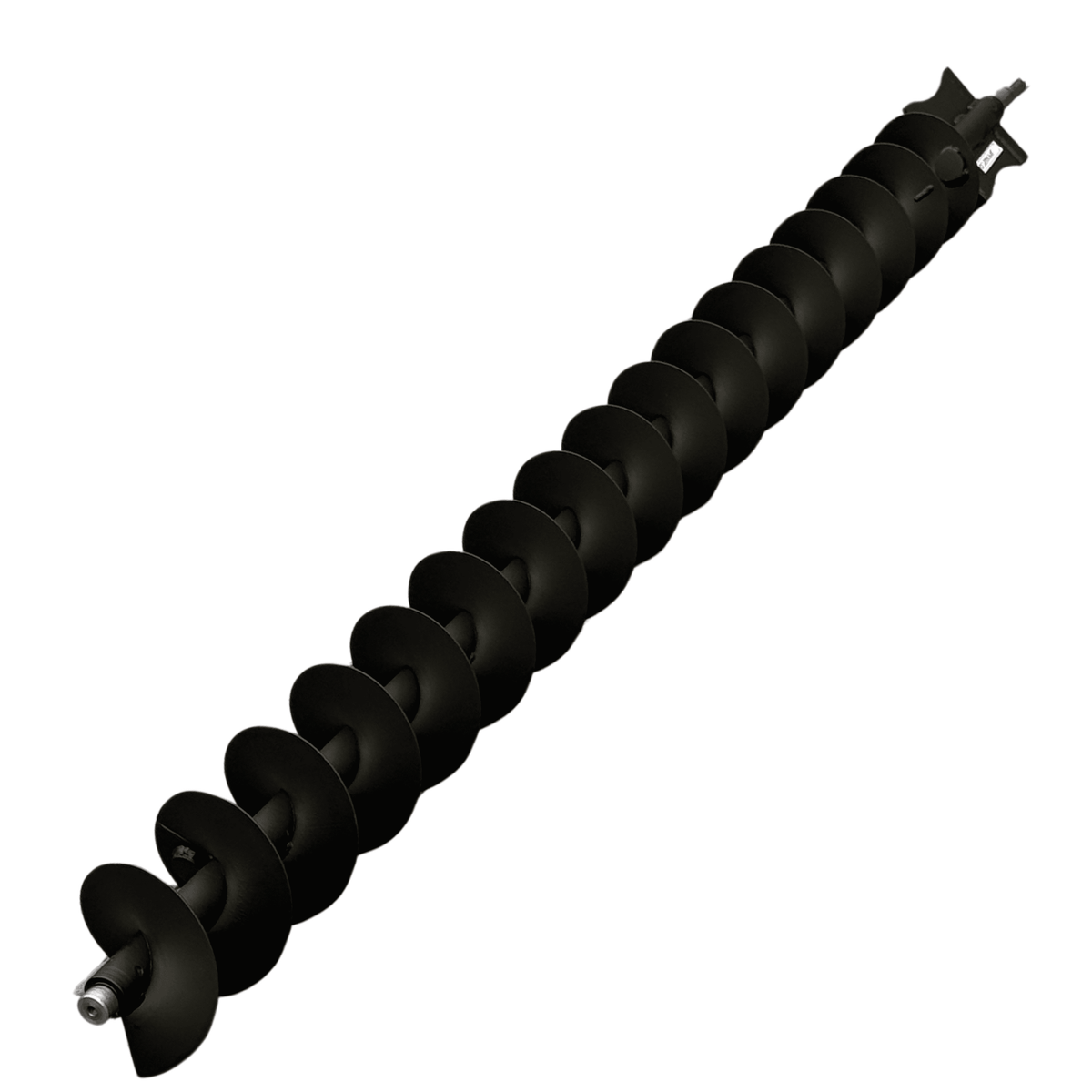 Sraigė - 755441