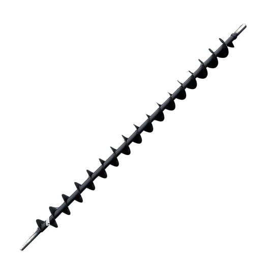Sraigė - 757248