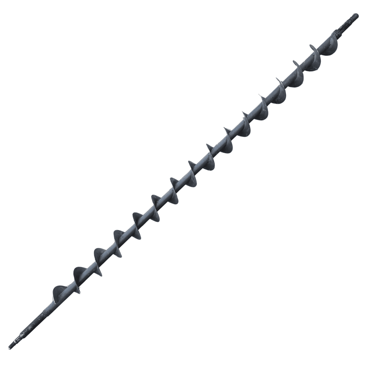 Sraigė - AH168285